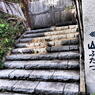 江ノ島＿ヤマ