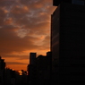 江戸通りの夕焼け