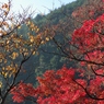 山里の風景