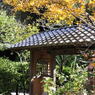 海蔵寺#14