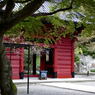 妙本寺