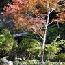 海蔵寺#2