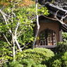 海蔵寺#3