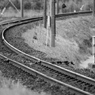 35500526