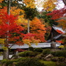 永源寺-2