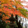 鶏足寺-4