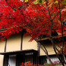 金剛輪寺-1