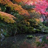 金剛輪寺-2