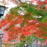 20111129_09_長岡天満宮