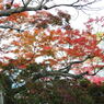 20111129_16_長岡天満宮