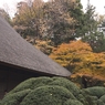 .平林寺紅葉1
