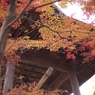 平林寺紅葉15