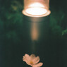 闇夜に浮かぶ
