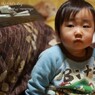 怖いテレビをついみてしまう