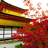 金閣寺
