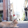お手手がまんまる・・・＾＾