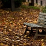 Fall bench
