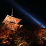 清水寺　夜の紅葉狩り