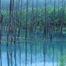 雨の一休み