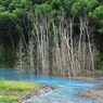 青き流れ