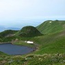 高層の箱庭