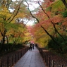 紅葉のトンネル