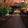 粟生光明寺薬医門