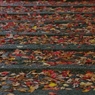 紅葉の階段