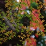 花火のごとく