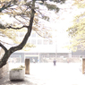 三宅沙也加 20111112 (10)