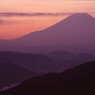 薄紅に染まる