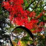紅葉鏡