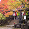 今熊野観音寺