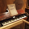 Organ