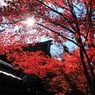 京都