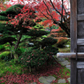 山中温泉　芭蕉の館　庭園