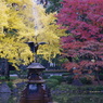日比谷公園