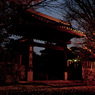 門