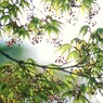 穏やかな一日