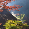 郷の秋