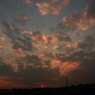 2011_03_08_001
