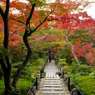 宝筐院