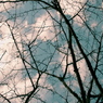 冬の空２。