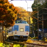 秋の鉄道模型