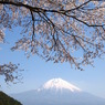 田貫湖からの霊峰富士