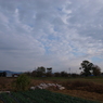 今日の雲