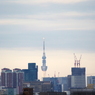希望光灯る