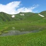 千畳ヶ原の夏