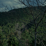 山