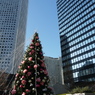 三井ビルクリスマスツリー